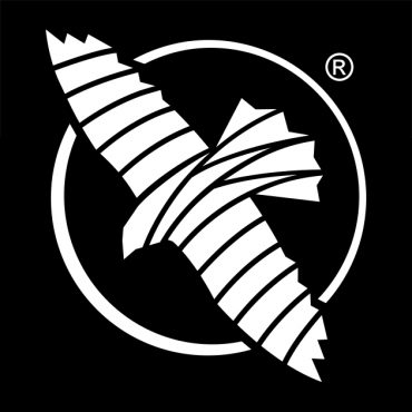 Hayabusa Logo Evolution